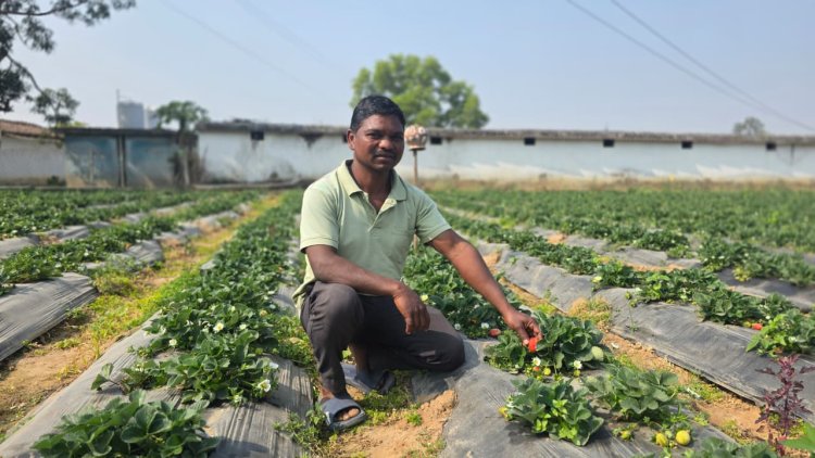 उद्यानिकी खेती से बदली किसान की आर्थिक तस्वीर
